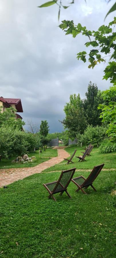 Enpi Lake Resort Iasi Buitenkant foto