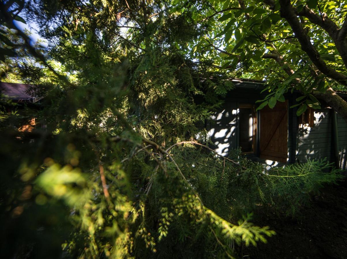 Enpi Lake Resort Iasi Buitenkant foto